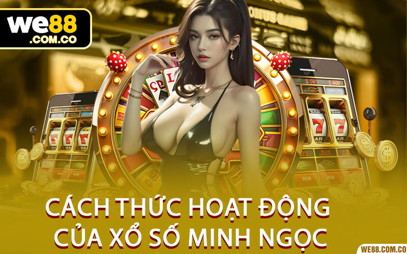 Cách Cao Thủ Soi Cầu Xổ Số Chuẩn Xác 100%